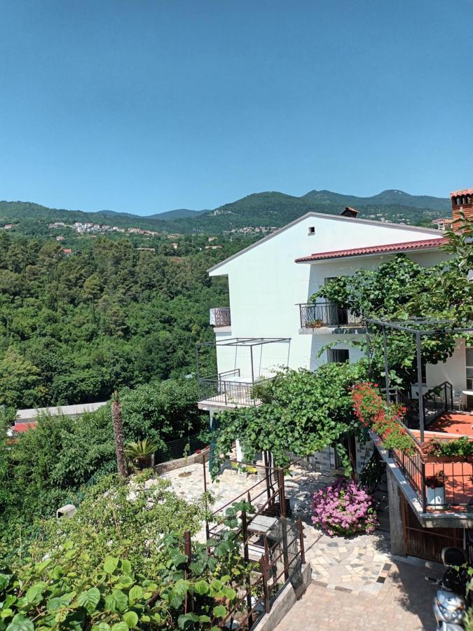 Apartments Branka Ика Экстерьер фото